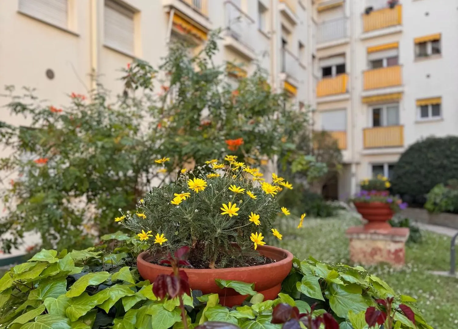 Apartmán La Residence Du Casino Menton Francie
